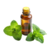 Съставки 35 mint oil