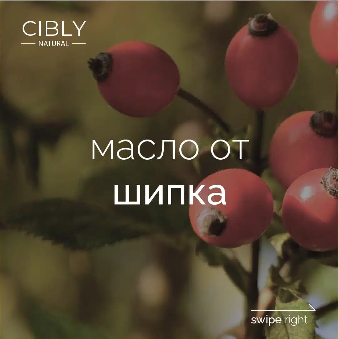 Масло от шипка на Cibly Natural – антиоксидантно действие за регенерация, намаляване на фините линии и изравняване на тена.