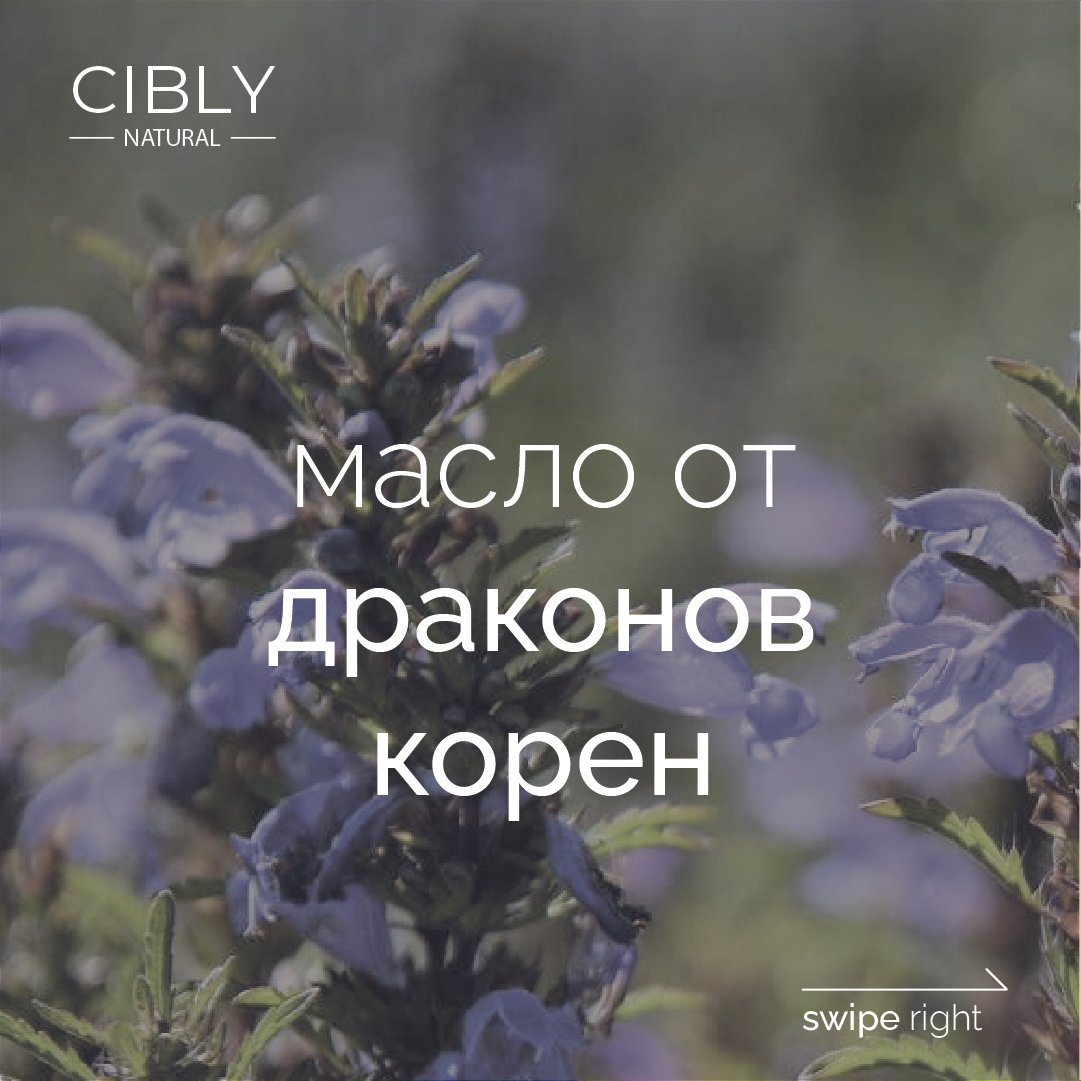 Масло от драконов корен на Cibly Natural – балансиращо масло, което възстановява кожния баланс и намалява признаците на умора и стрес. Подходящо за чувствителна и раздразнена кожа, като подпомага нейното успокояване и регенерация.
