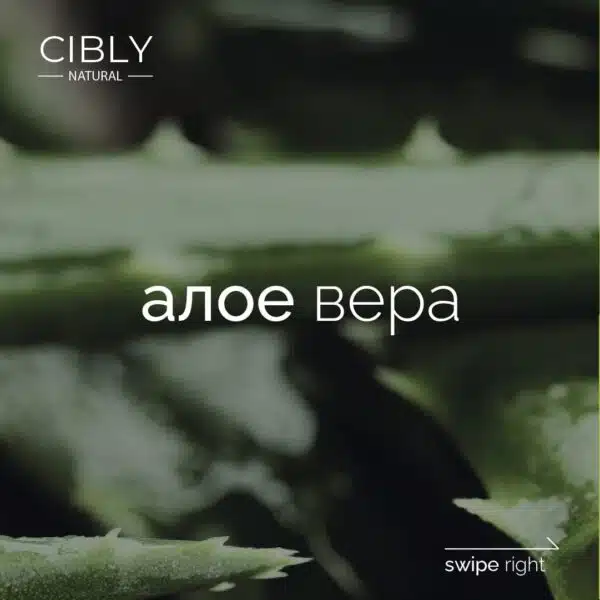 Алое вера – дълбоко хидратиращ растителен екстракт