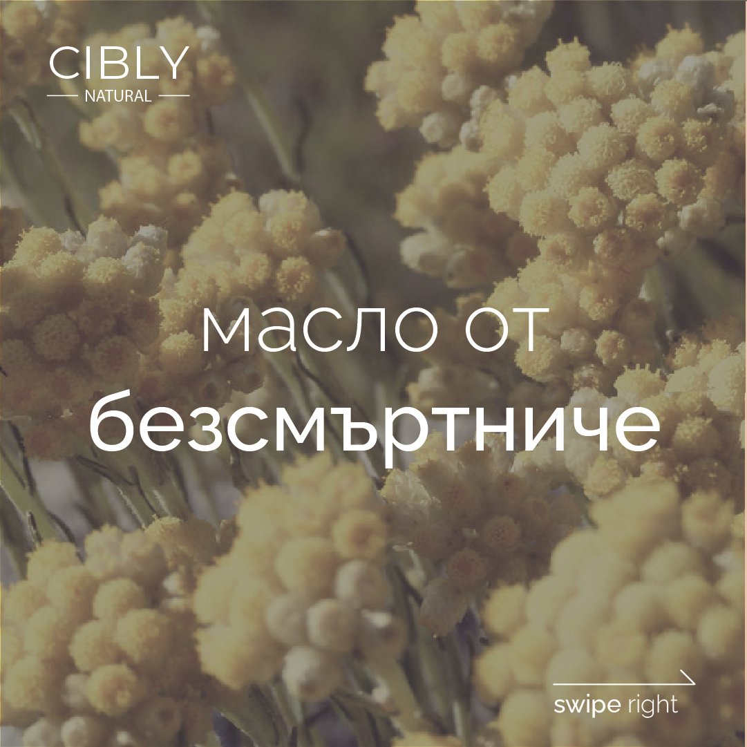 Масло от безсмъртниче – регенериращо и противовъзпалително