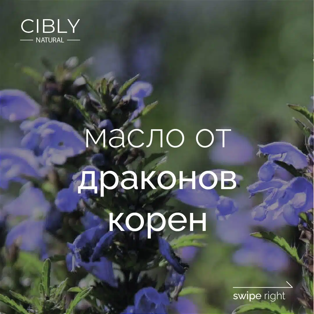 Масло от молдовски драконов корен – защита и блясък