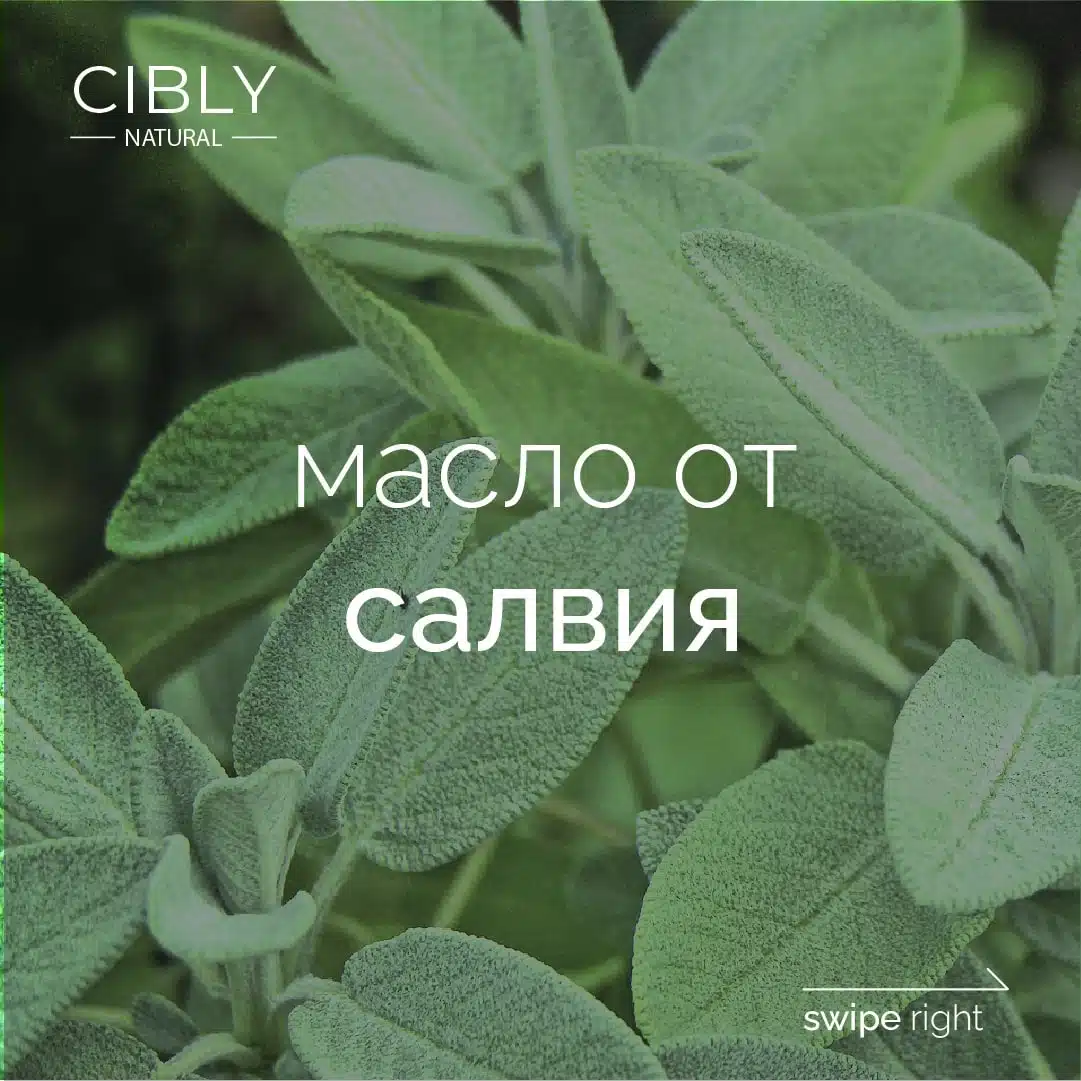 Масло от салвия – почистващо и регулиращо действие
