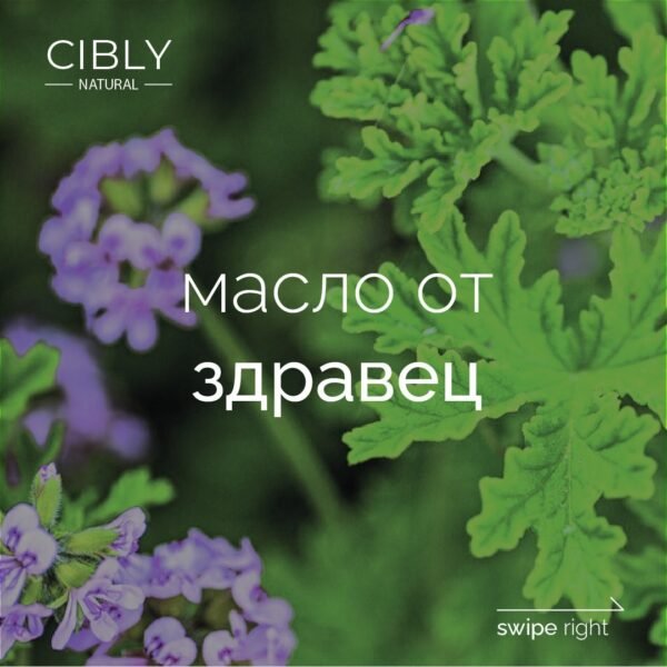 Масло от здравец – балансиращо и почистващо действие
