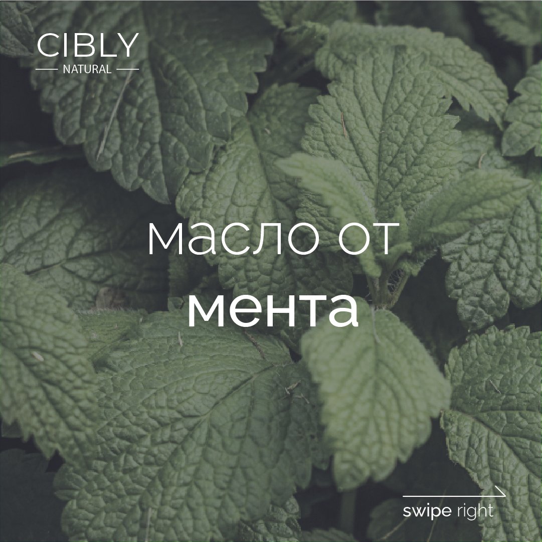 Масло от мента