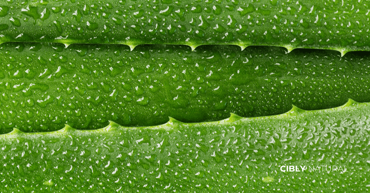 Алое вера хиалуронова киселина овес натурални съставки за атопична кожа