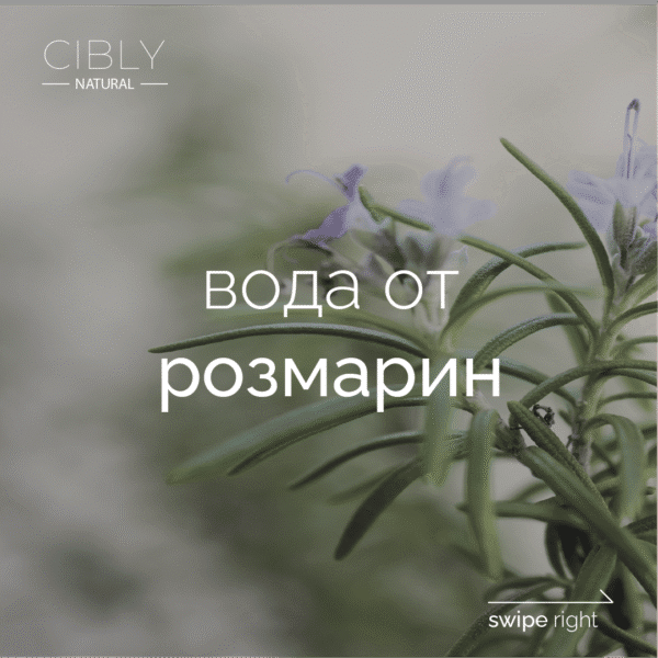 Флорална вода от розмарин против косопад