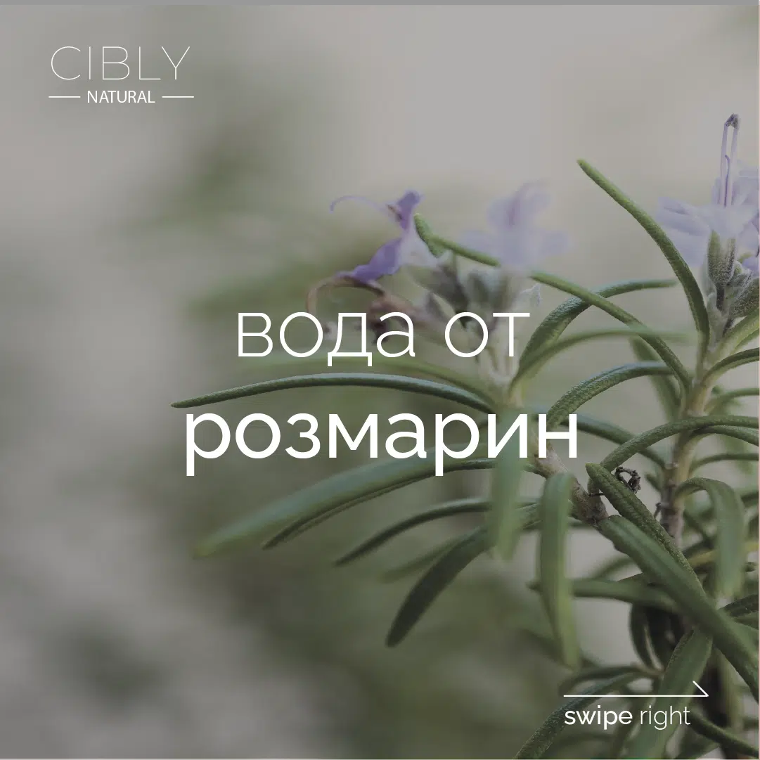 Флорална вода от розмарин против косопад