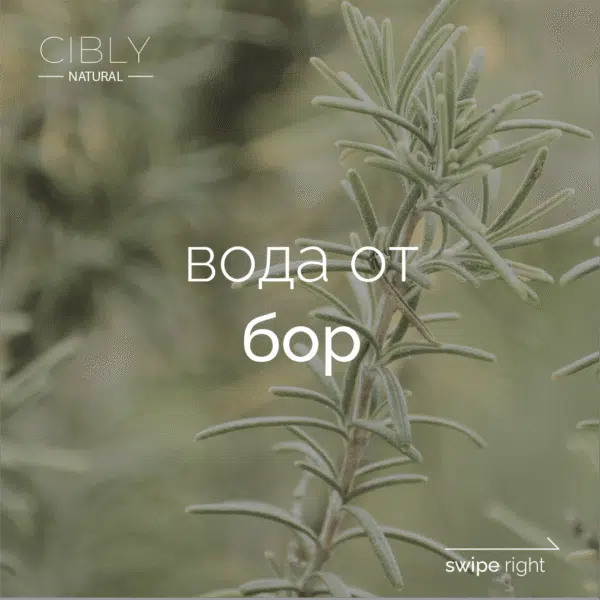 Флорална вода от бор, за здрава и бляскава коса
