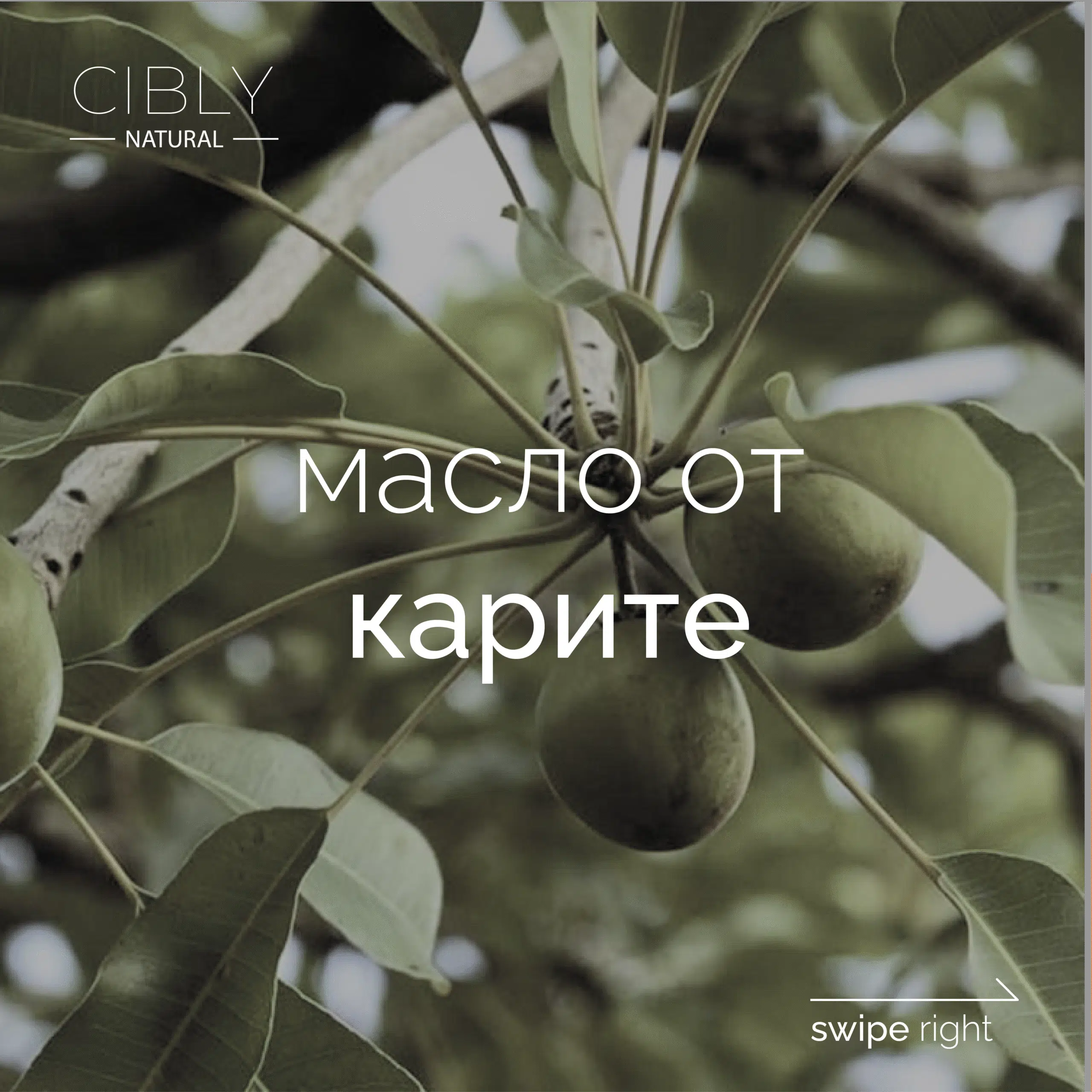 Слънцезащитен крем с масло от ший