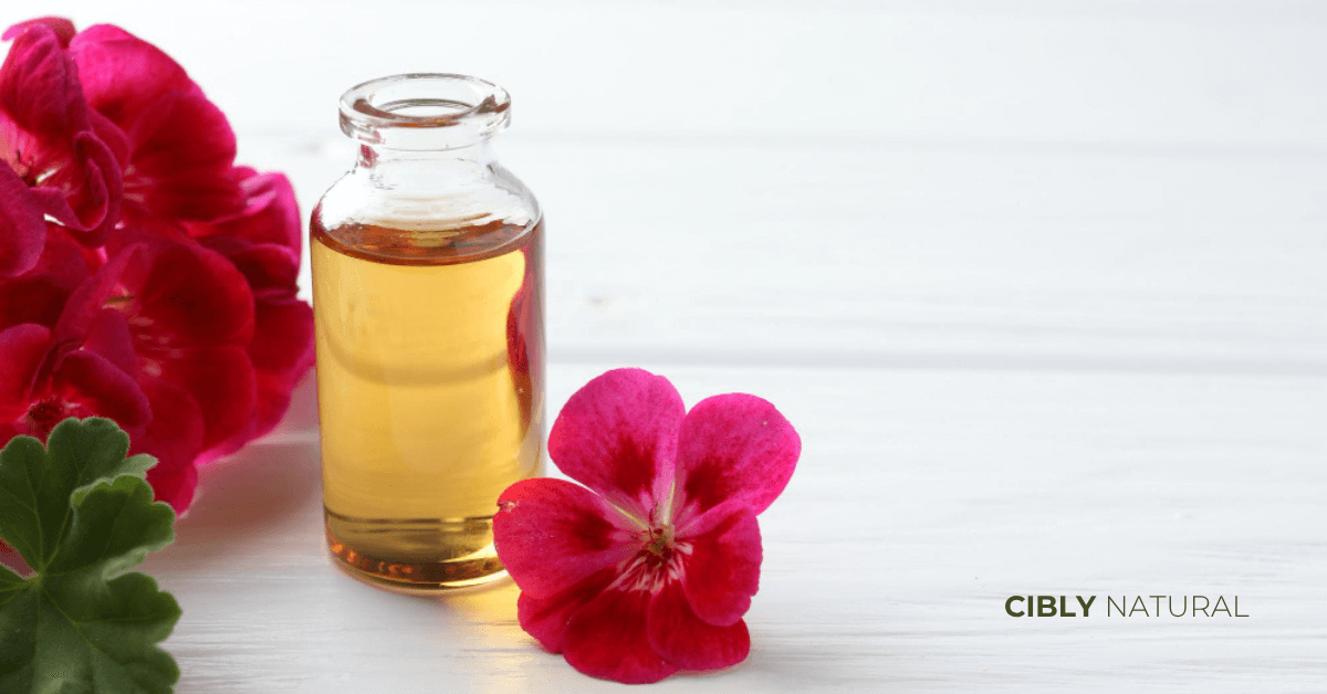 Масло от здравец (Pelargonium Graveolens) в стъклено шише до прясно набрани розови цветове на здравец – натурална съставка за балансирана кожа