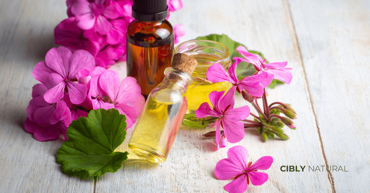 Сравнение на капки масло от здравец и розово масло върху белезгов фон – две различни етерични масла с подобен аромат