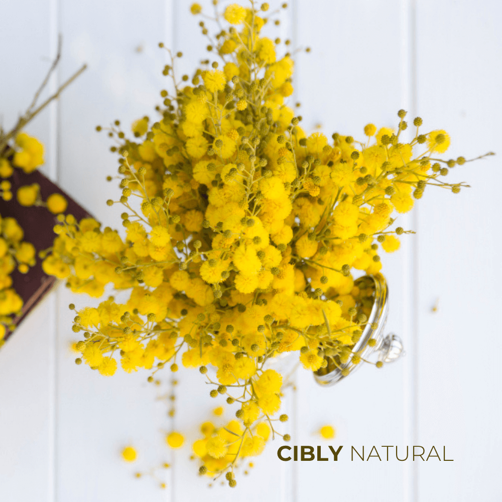 Златисто арганово масло в стъклено шише до арганови ядки – течното злато на Мароко