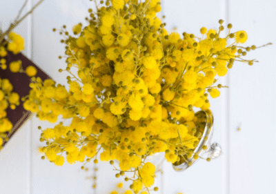 Масло от безсмъртниче: Натуралната сила за регенерация и младежка кожа 21 Златисти цветове на безсмъртниче до стъклено шише с етерично масло