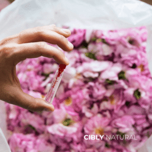 Сравнение между розова вода и розово масло – два различни продукта от роза